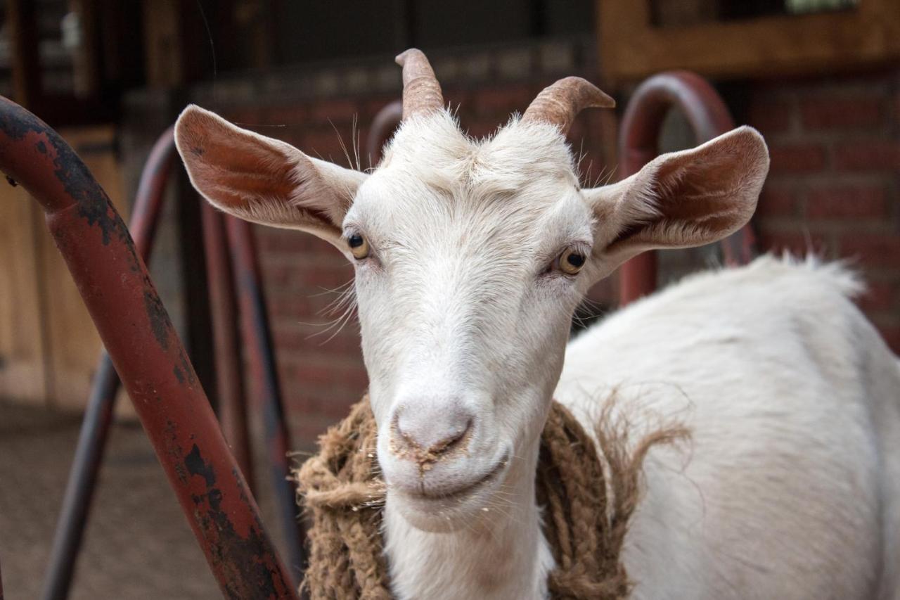 Отель Gibb'S Farm Карату Экстерьер фото